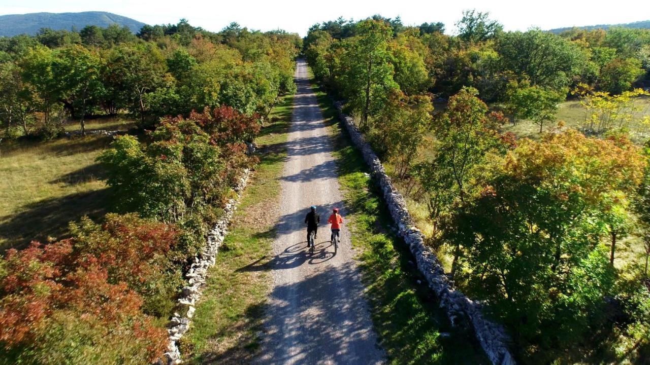 Vila Brinovka Kostanjevica na Krasu ภายนอก รูปภาพ