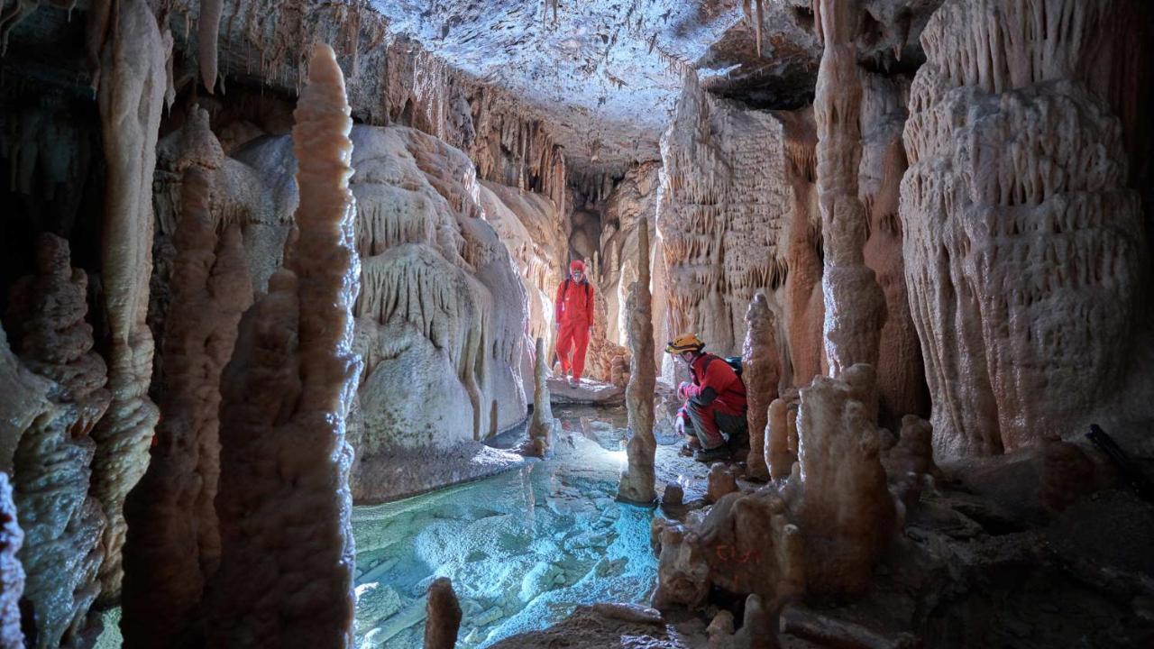 Vila Brinovka Kostanjevica na Krasu ภายนอก รูปภาพ